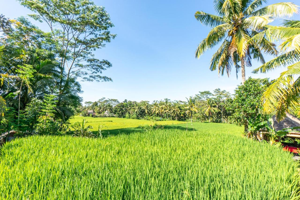 Rouge - Private Villa Passion Ubud Kültér fotó